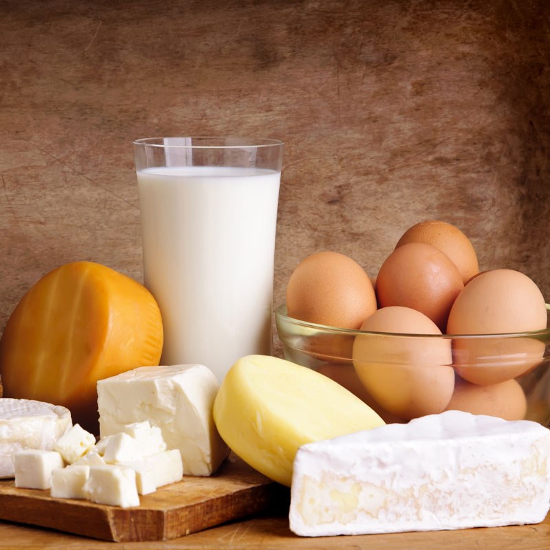 Dairy 800